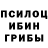 Псилоцибиновые грибы GOLDEN TEACHER sportsmenxD